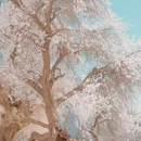 喀什地区旅游 缩略图 1
