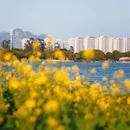 漳州旅游 缩略图 4