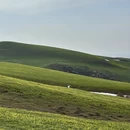 伊犁旅游 缩略图 5