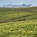 伊犁旅游 缩略图 7