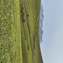 伊犁旅游 缩略图 6