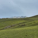 伊犁旅游 缩略图 8