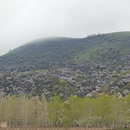 伊犁旅游 缩略图 2