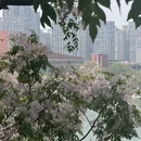 厦门旅游 缩略图 3