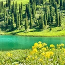 伊犁旅游 缩略图 7