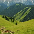 伊犁旅游 缩略图 9