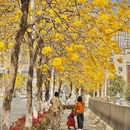 泉州旅游 缩略图 4