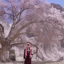 喀什地区旅游 缩略图 1