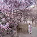 阿勒泰地区旅游 缩略图 3