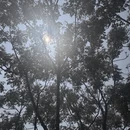厦门旅游 缩略图 7