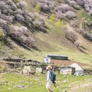 伊犁旅游 缩略图 3