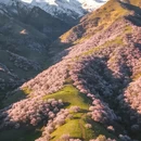 伊犁旅游 缩略图 6