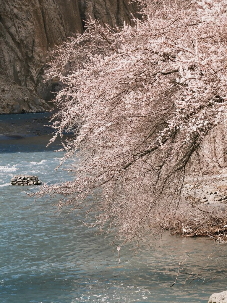 喀什地区旅游