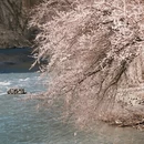 喀什地区旅游 缩略图 1