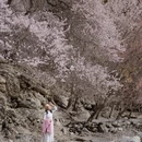 阿勒泰地区旅游 缩略图 8