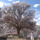 阿勒泰地区旅游 缩略图 10