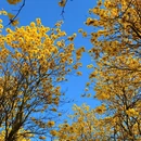 漳州旅游 缩略图 1