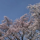 吉林旅游 缩略图 6