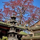 泉州旅游 缩略图 8