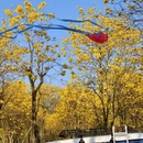 漳州旅游 缩略图 2
