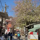 泉州旅游 缩略图 9