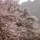 喀什地区旅游 缩略图 7