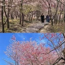 三明旅游 缩略图 6