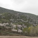 伊犁旅游 缩略图 16
