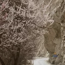 喀什地区旅游 缩略图 8