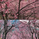三明旅游 缩略图 5