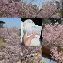 莆田旅游 缩略图 1