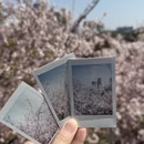 莆田旅游 缩略图 3