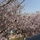 莆田旅游 缩略图 4