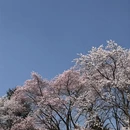 吉林旅游 缩略图 3