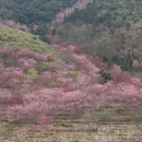 漳州旅游 缩略图 1