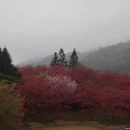 漳州旅游 缩略图 7