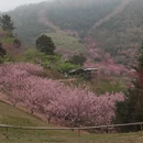 漳州旅游 缩略图 6