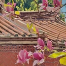 泉州旅游 缩略图 6