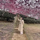 漳州旅游 缩略图 12