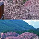 三明旅游 缩略图 9