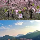 三明旅游 缩略图 11