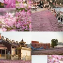 漳州旅游 缩略图 1
