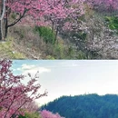 三明旅游 缩略图 13