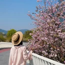漳州旅游 缩略图 9