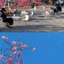 三明旅游 缩略图 16