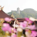漳州旅游 缩略图 8