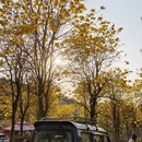漳州旅游 缩略图 13