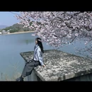 安庆旅游 缩略图 4