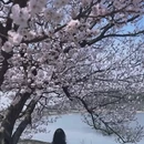 安庆旅游 缩略图 3