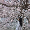 安庆旅游 缩略图 2